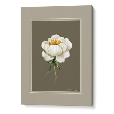 Nature's Palette: Botanical Gallery Wall Set of 6