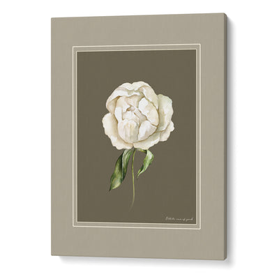 Nature's Palette: Botanical Gallery Wall Set of 6