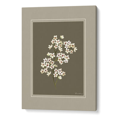 Nature's Palette: Botanical Gallery Wall Set of 6