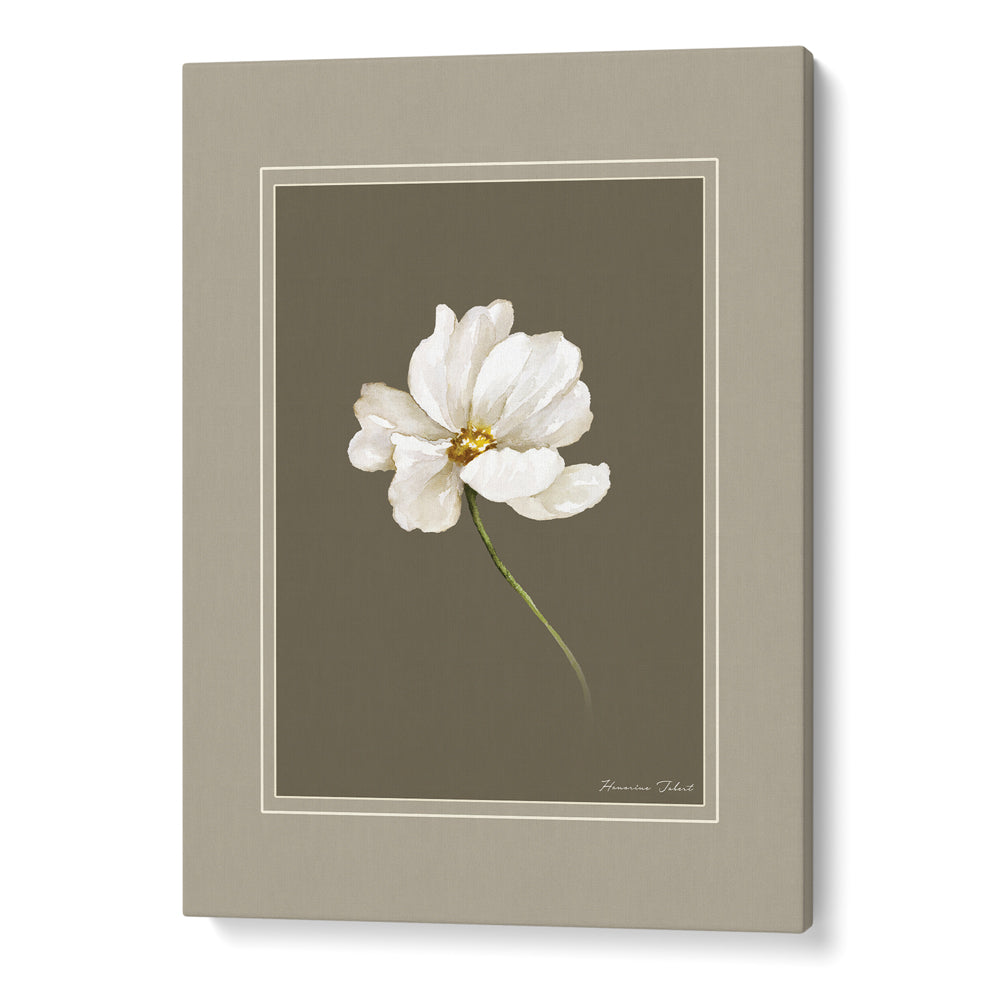 Nature's Palette: Botanical Gallery Wall Set of 6