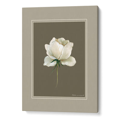 Nature's Palette: Botanical Gallery Wall Set of 6