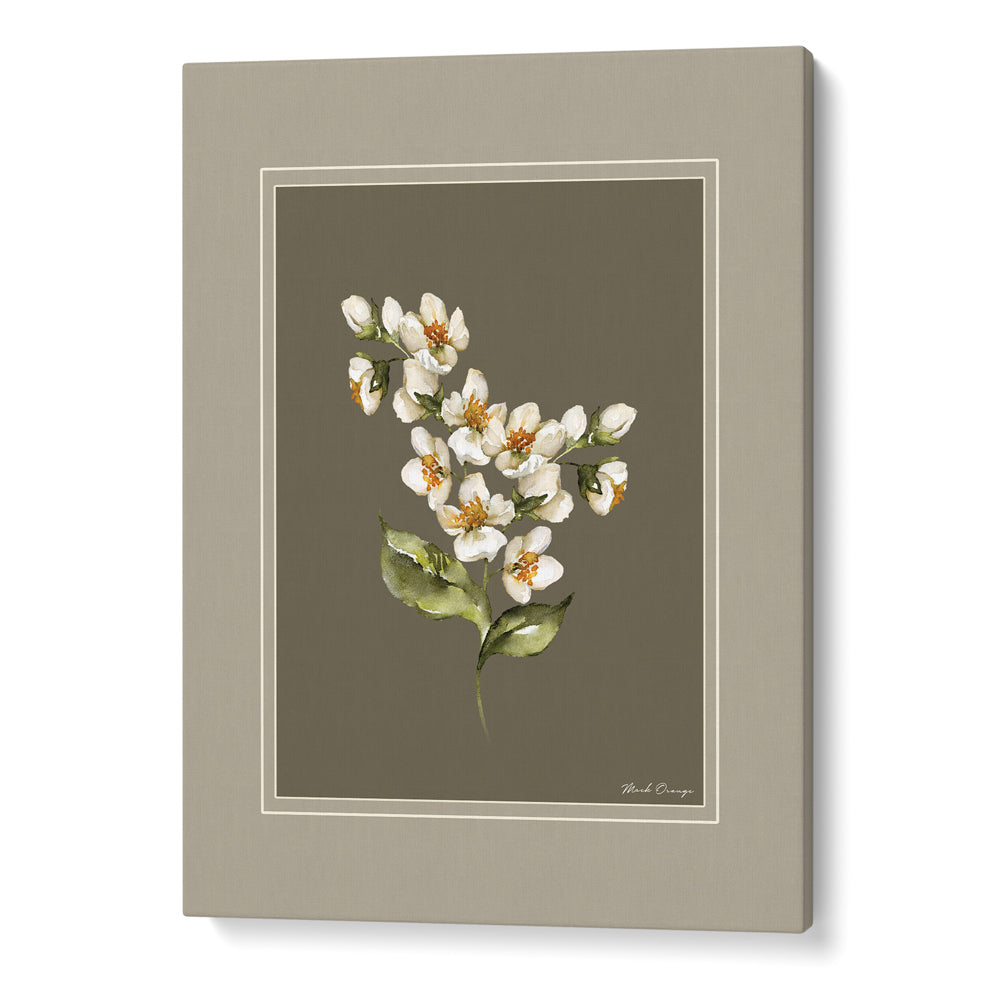 Nature's Palette: Botanical Gallery Wall Set of 6