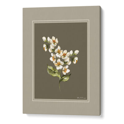 Nature's Palette: Botanical Gallery Wall Set of 6