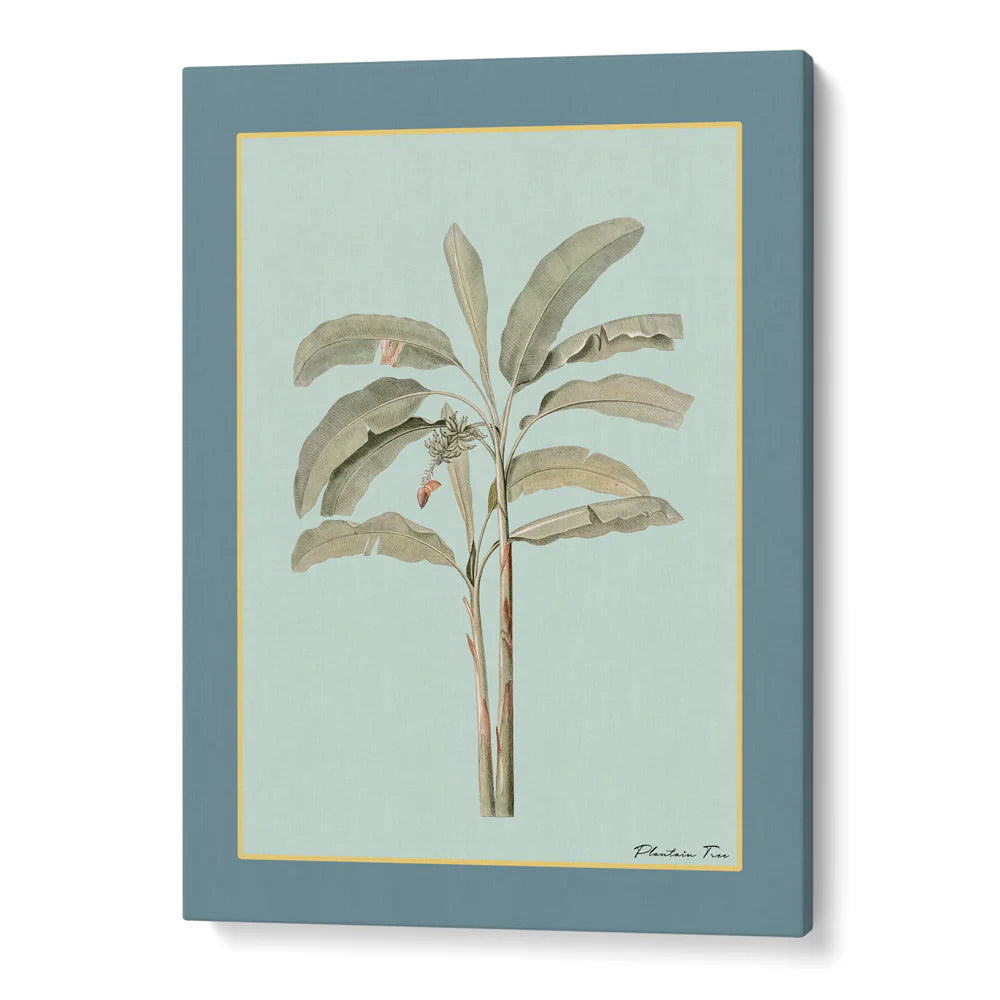 Plantain Tree Set of 3