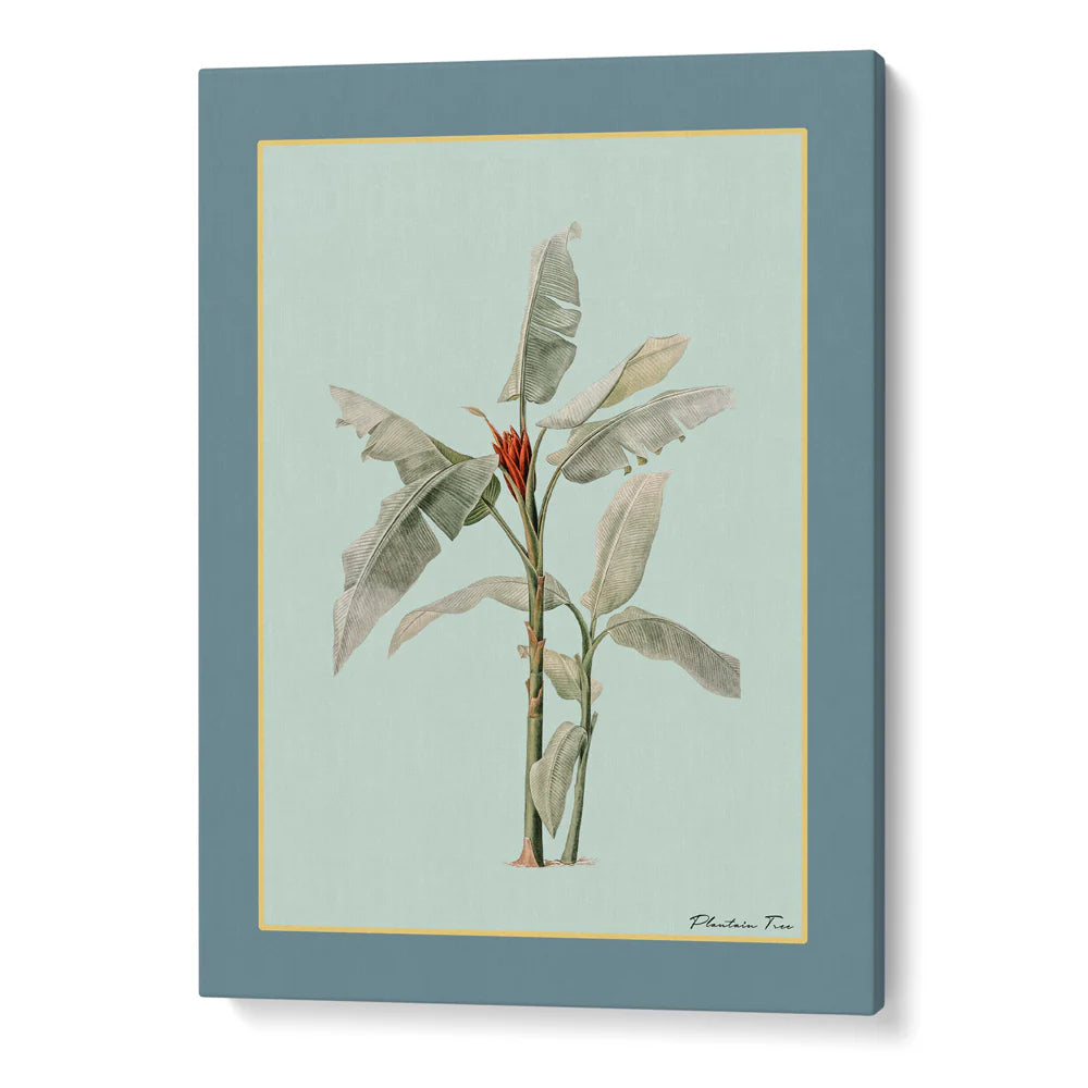 Plantain Tree Set of 3