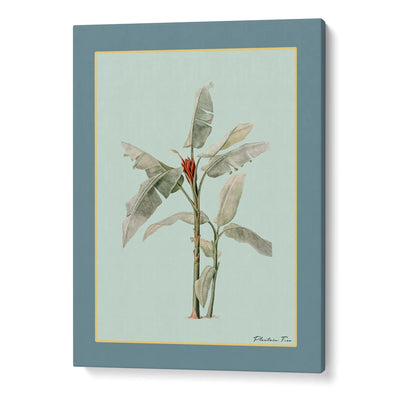 Plantain Tree Set of 3