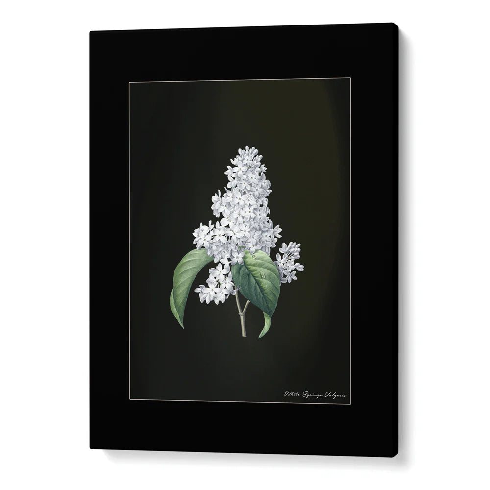 Verdant Retreat Gallery Wall Set Of 7