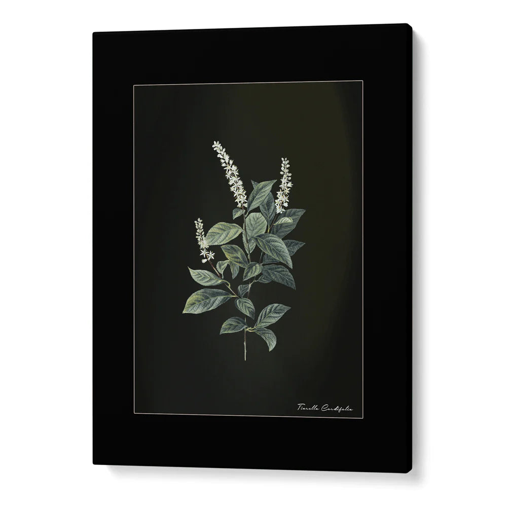 Obsidian Bloom Botanical Gallery Wall Set of 6