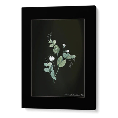 Obsidian Bloom Botanical Gallery Wall Set of 6