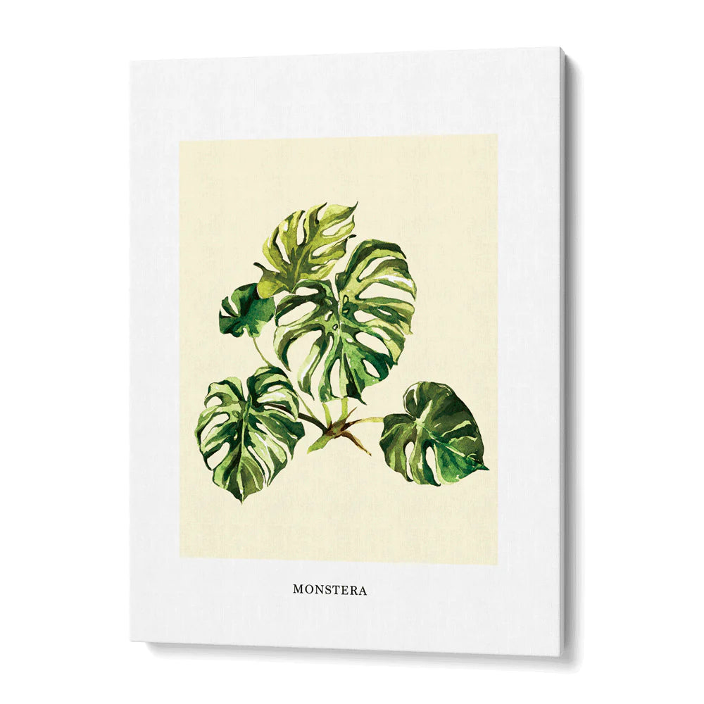 Flourishing Foliage: Botanical Gallery Wall Set of 6