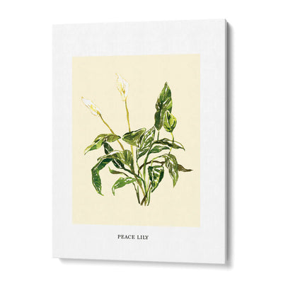 Flourishing Foliage: Botanical Gallery Wall Set of 6