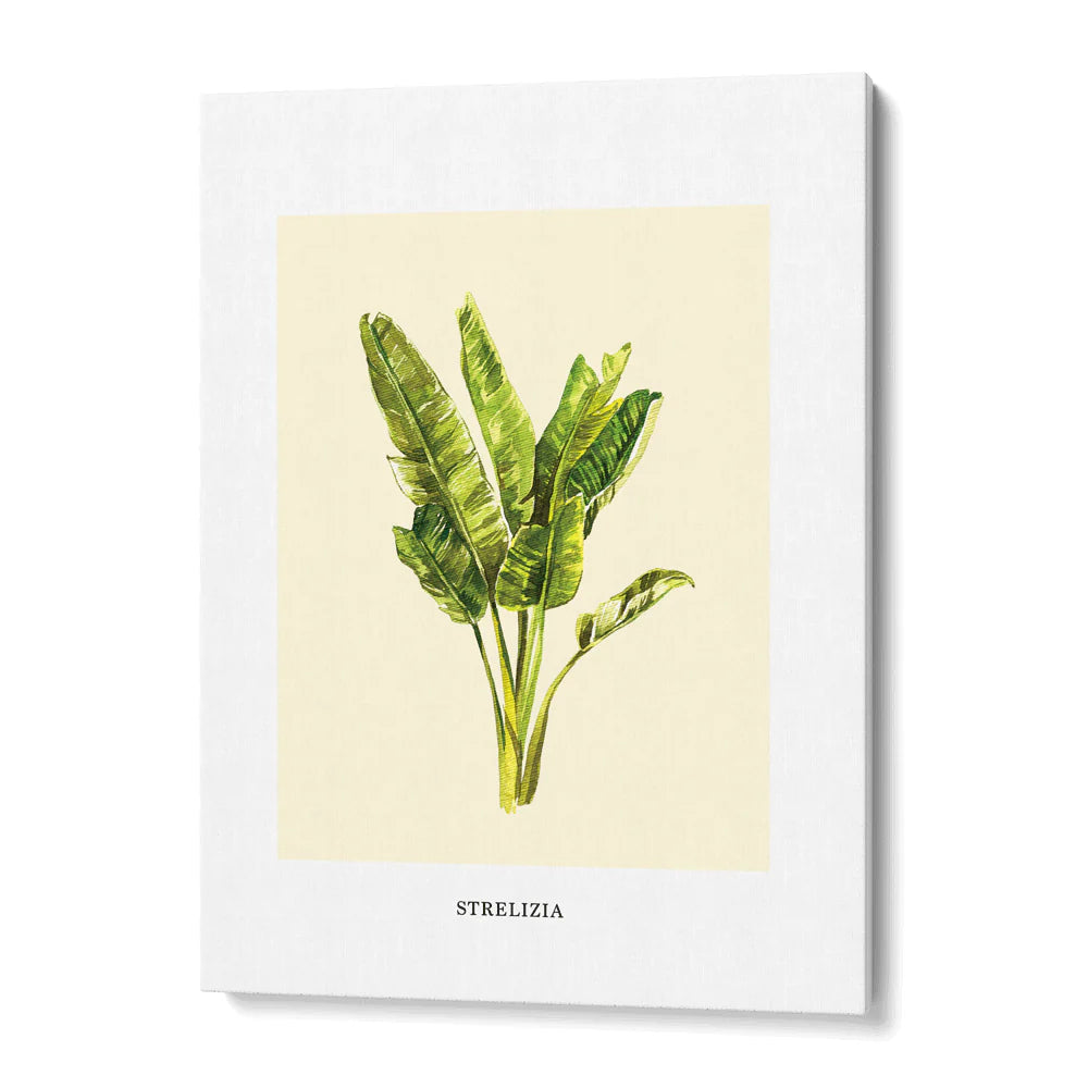 Flourishing Foliage: Botanical Gallery Wall Set of 6