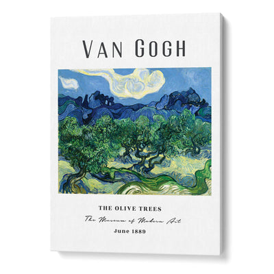 Vincent Van Gogh Gallery Wall Set of 3