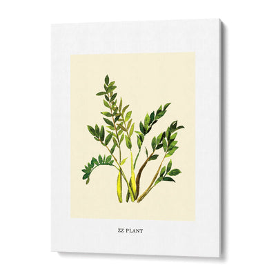 Flourishing Foliage: Botanical Gallery Wall Set of 6