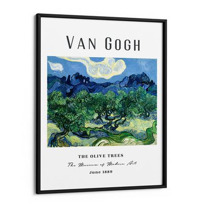 Vincent Van Gogh - The Olive Trees (1889) Nook At You Matte Paper Black Frame